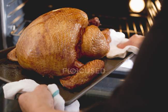 Hands holding roast turkey — Stock Photo