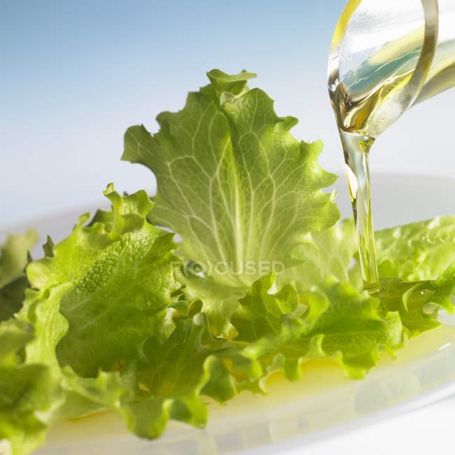 Oil running on lettuce leaves — Stock Photo