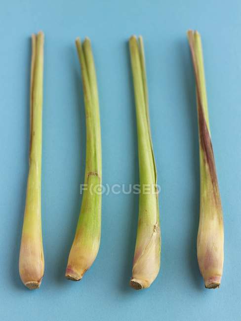 Row of fresh Lemongrass — Stock Photo
