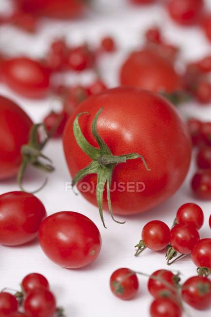 Varios tipos de tomates - foto de stock