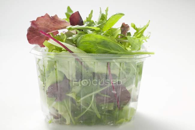 Mixed salad leaves — Stock Photo