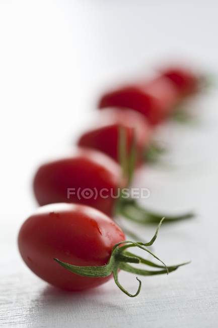 Plum tomatoes in row — Stock Photo