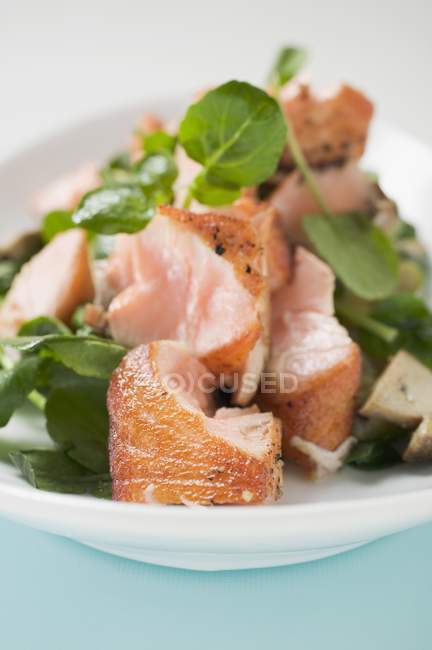 Feuilles de salade au saumon — Photo de stock