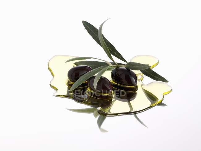 Чорні оливки та гілочка оливкова — стокове фото