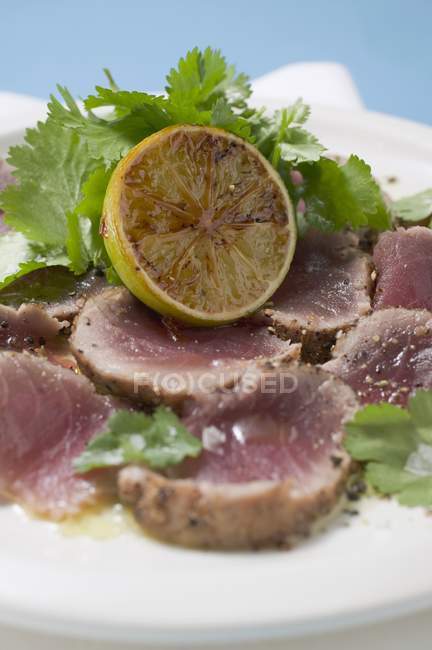 Seared seasoned tuna fillet — Stock Photo
