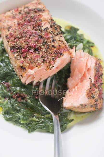 Filet de saumon épicé sur épinards — Photo de stock