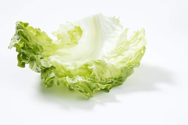 Листя зеленого салату — стокове фото