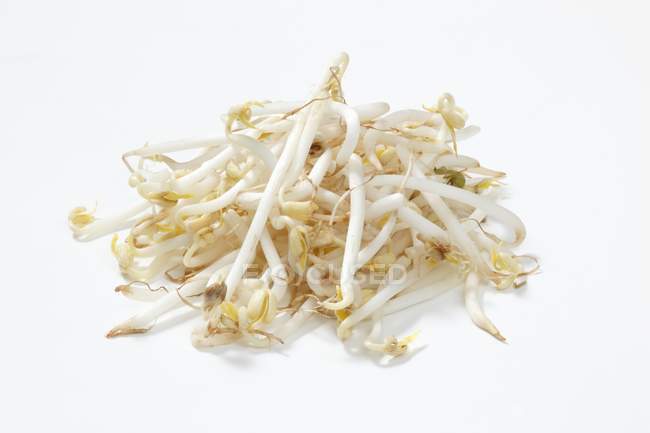 Soya bean sprouts — Stock Photo