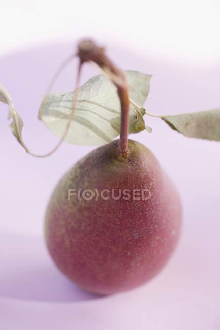 Rote Birne mit Stiel und Blättern — Stockfoto