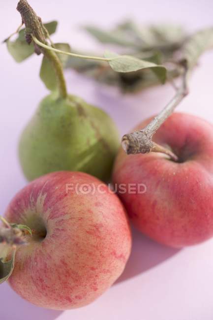 Pear and two apples with stalks — Stock Photo