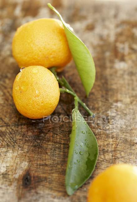Декоративні апельсини з листям — стокове фото