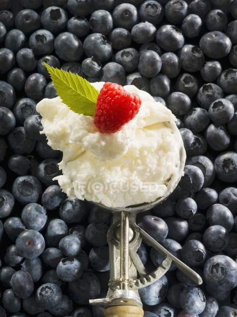 Vanilla Ice cream with fresh blueberries — Stock Photo