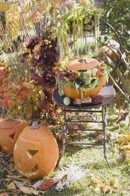 Garden decoration with pumpkins — Stock Photo