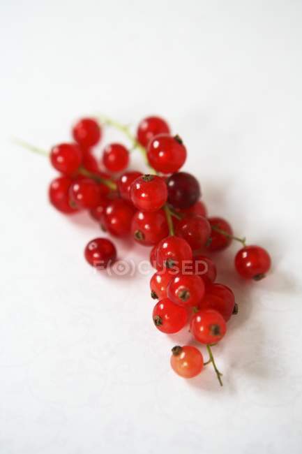 Grosellas rojas maduras frescas - foto de stock