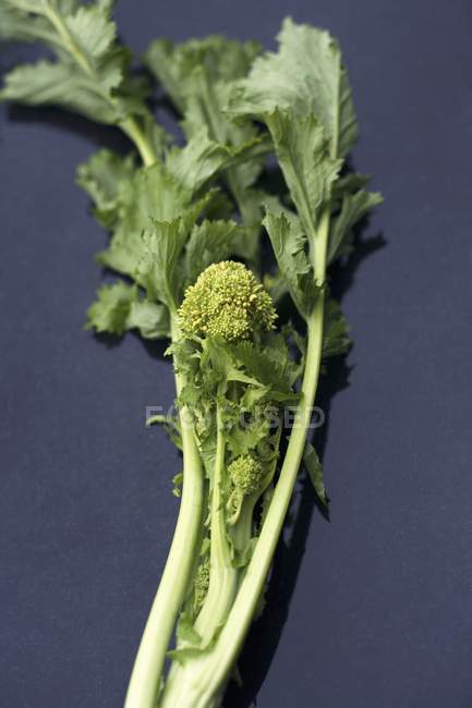 Rage de brocoli vert — Photo de stock