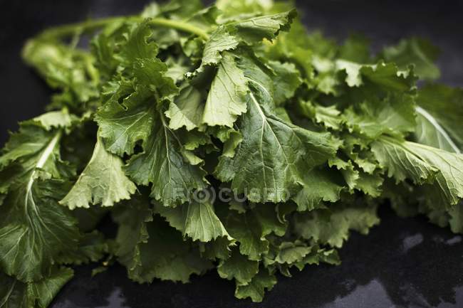Brócoli verde rabe - foto de stock