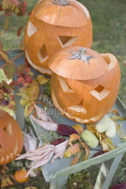 Decoration with carved pumpkins — Stock Photo
