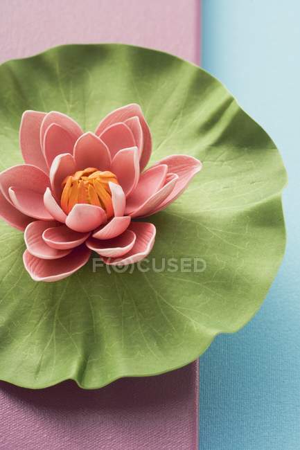 Closeup view of water lily on blue and pink surface — Stock Photo
