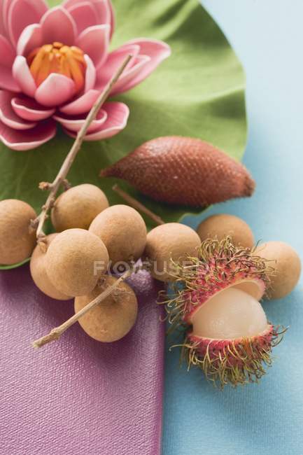 Fruits and water lily — Stock Photo
