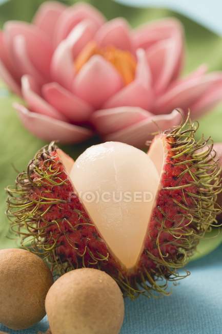 Rambutan with longans and water lily — Stock Photo