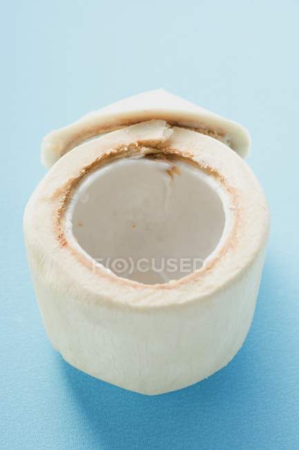 Свежий кокосовый орех — стоковое фото