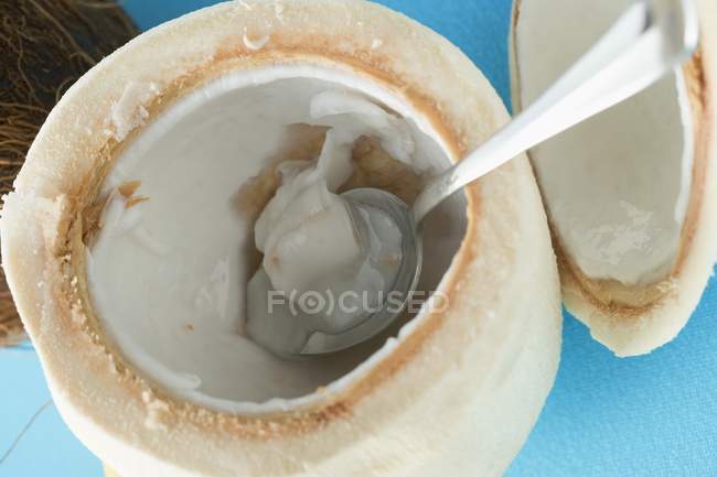 Décortiqué et creusé noix de coco — Photo de stock