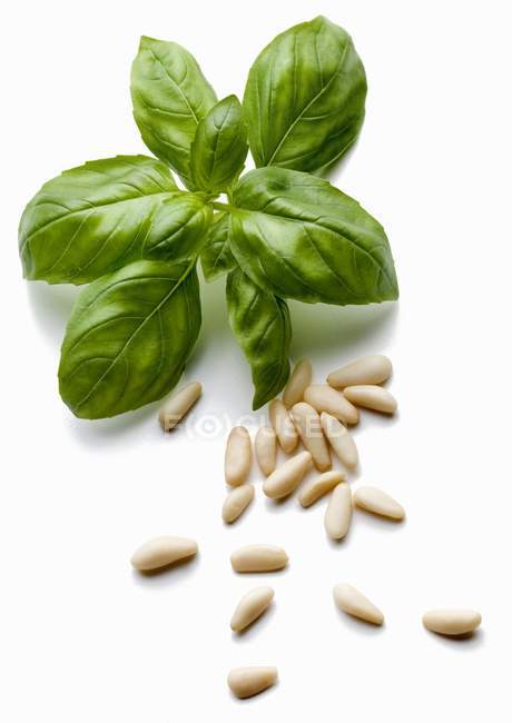 Basil and pine nuts — Stock Photo