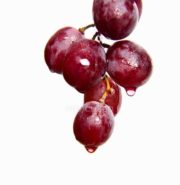 Gocce d'acqua su uva rossa — Foto stock