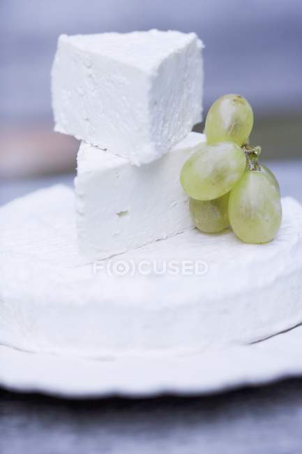 Овечий сыр и виноград — стоковое фото