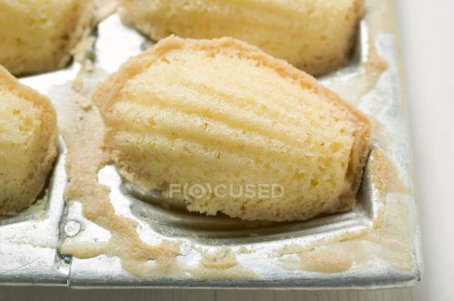Baked Madeleines in baking tin — Stock Photo