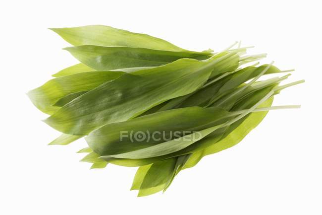 Ramsons feuilles d'ail sauvage — Photo de stock