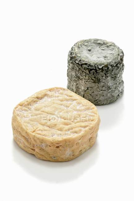 Diferentes quesos de leche cruda - foto de stock