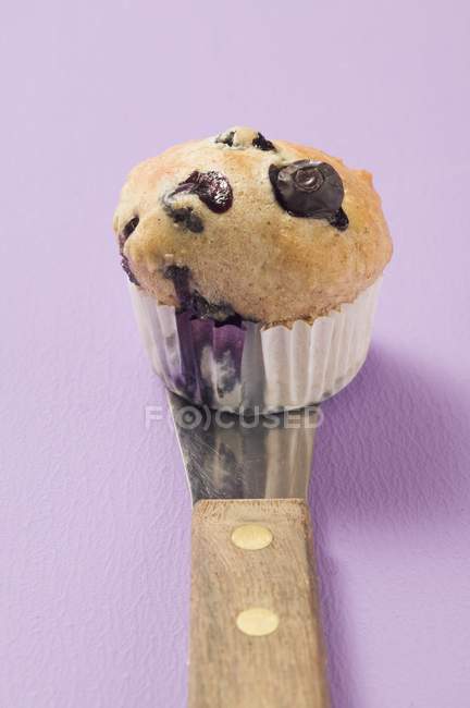 Blueberry muffin on server — Stock Photo