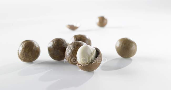 Varias nueces de macadamia - foto de stock