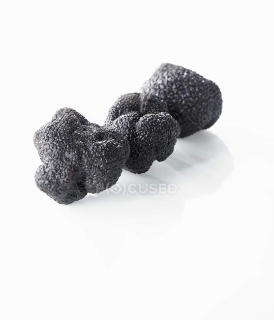 Три гриба с чёрными трюфелями — стоковое фото