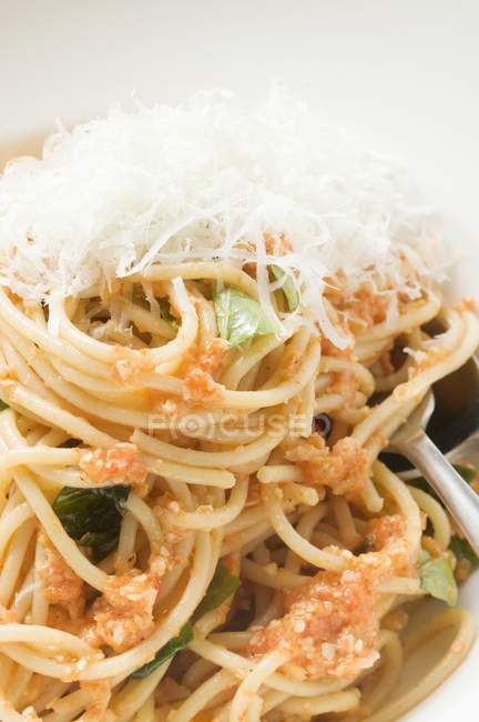Macaroni with tomato cream sauce — Stock Photo