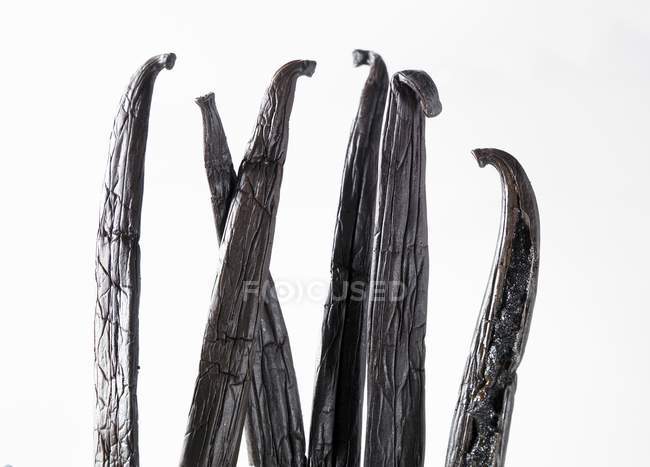 Cascas de baunilha secas — Fotografia de Stock