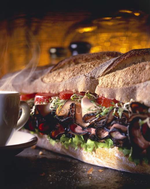 Grand sandwich sous-marin — Photo de stock