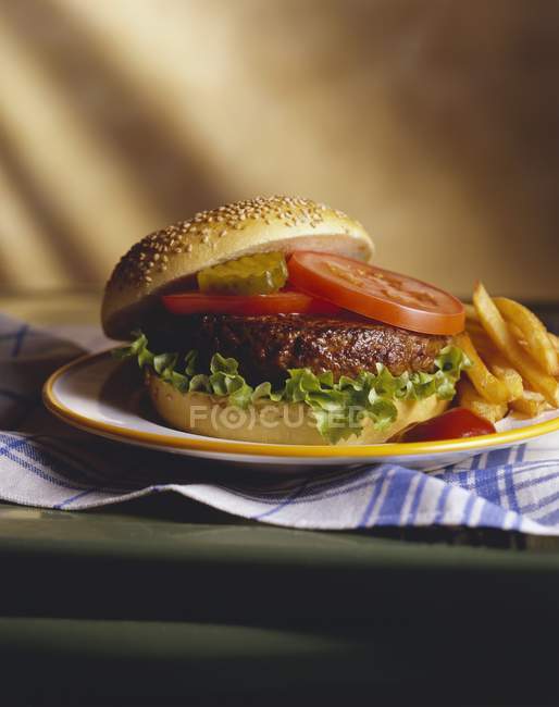 Hamburger with Lettuce and potato fries — Stock Photo