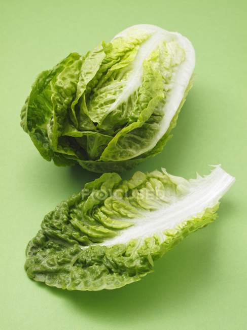 Зелений салат cos — стокове фото