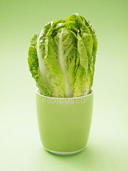 Cos lettuce in green cup — Stock Photo