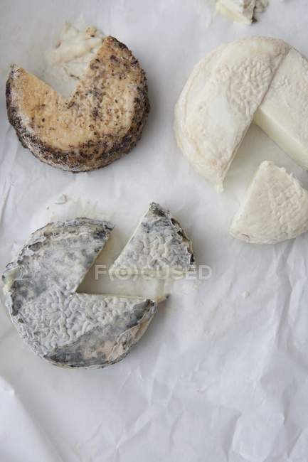 Trois fromages de chèvre assortis — Photo de stock