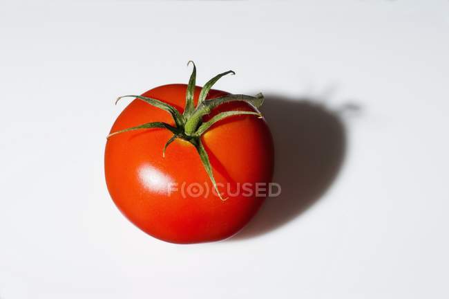 Красный помидор отбрасывает тень — стоковое фото