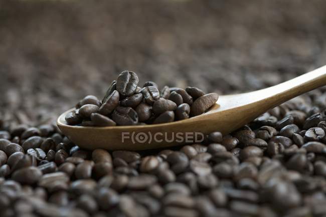 Chicchi di caffè su cucchiaio di legno — Foto stock