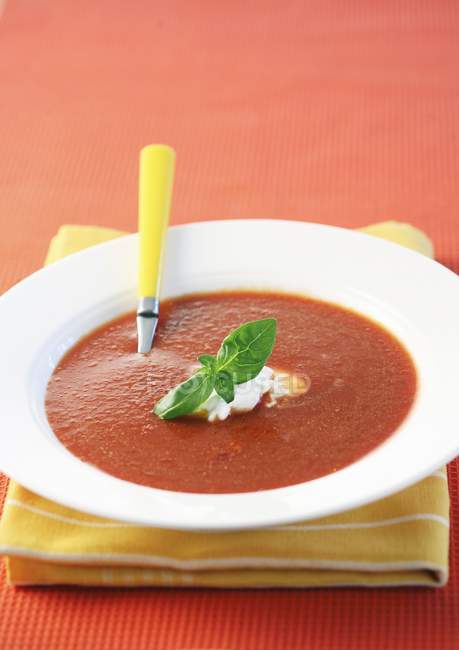 Soupe de tomate épicée dans une assiette blanche — Photo de stock