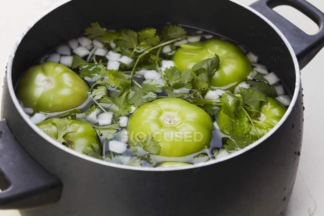 Tomatillos, l'oignon et la coriandre trempage dans un pot sur la surface blanche — Photo de stock