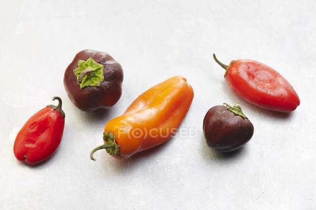 Pimentos frescos maduros variados — Fotografia de Stock