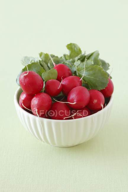 Bowl of fresh ripe radishes — Stock Photo