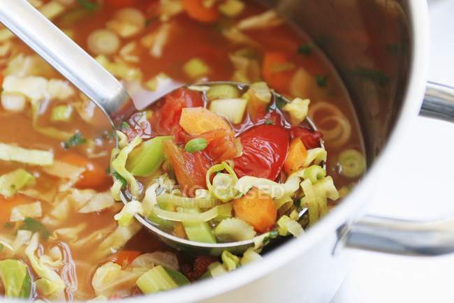 Sopa de verduras en sartén con cucharón - foto de stock