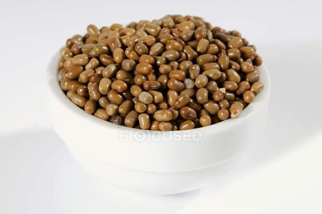 Brown beans in ceramic bowl — Stock Photo
